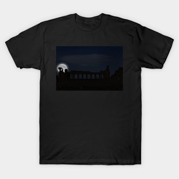 Volubilis by Night. T-Shirt by bulljup